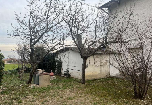 immagine annuncio 5 di 14