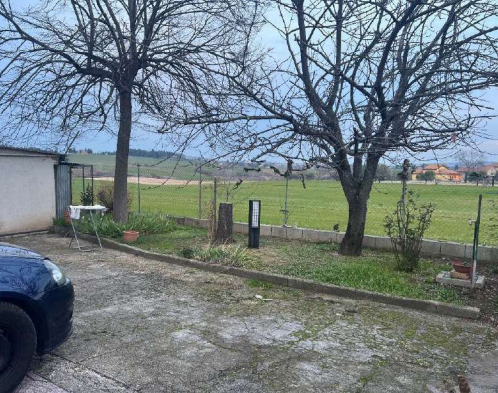 immagine annuncio 8 di 14