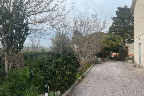 immagine annuncio 10 di 14