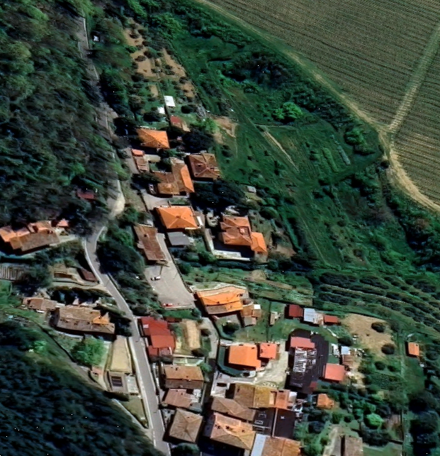 immagine annuncio 12 di 13
