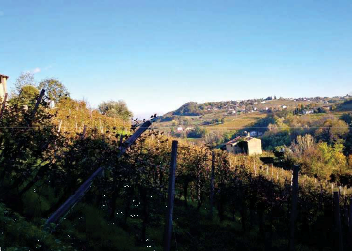 immagine annuncio 6 di 13