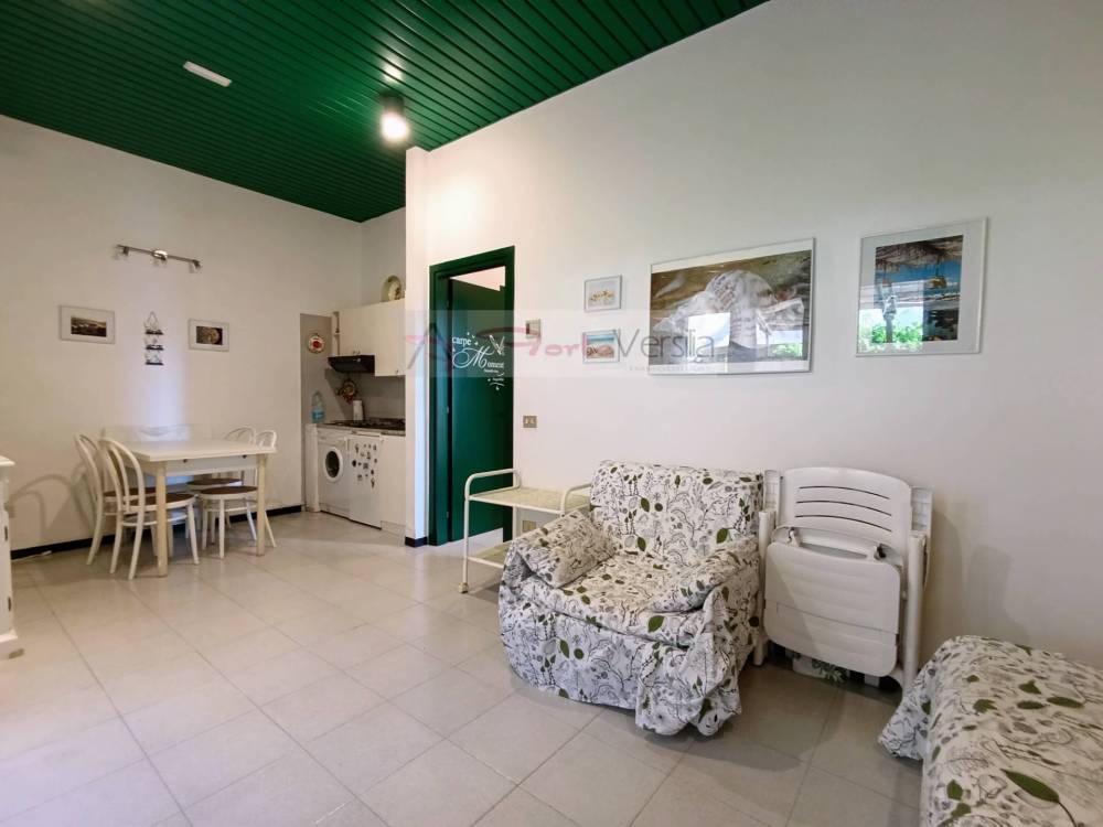 immagine annuncio 11 di 13