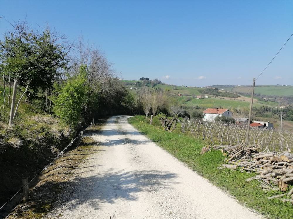 immagine annuncio 7 di 13