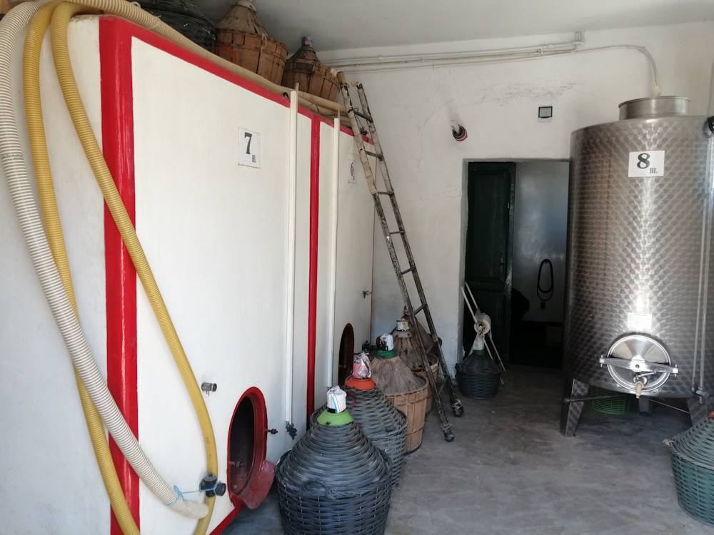 immagine annuncio 8 di 13