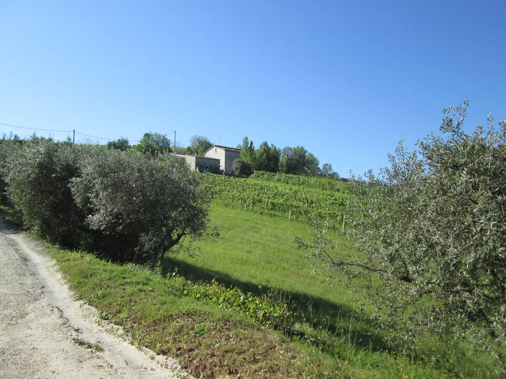 immagine annuncio 5 di 13