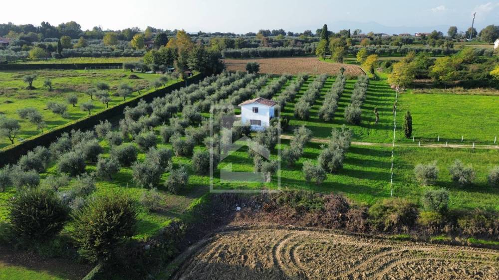 immagine annuncio 5 di 12