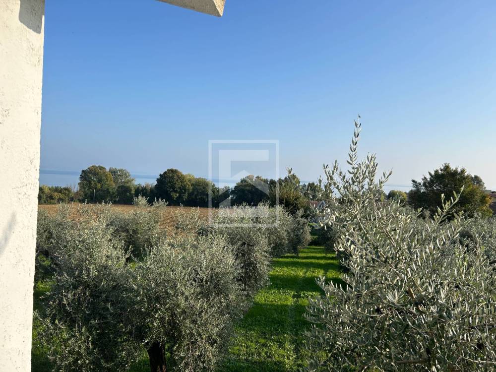 immagine annuncio 8 di 12