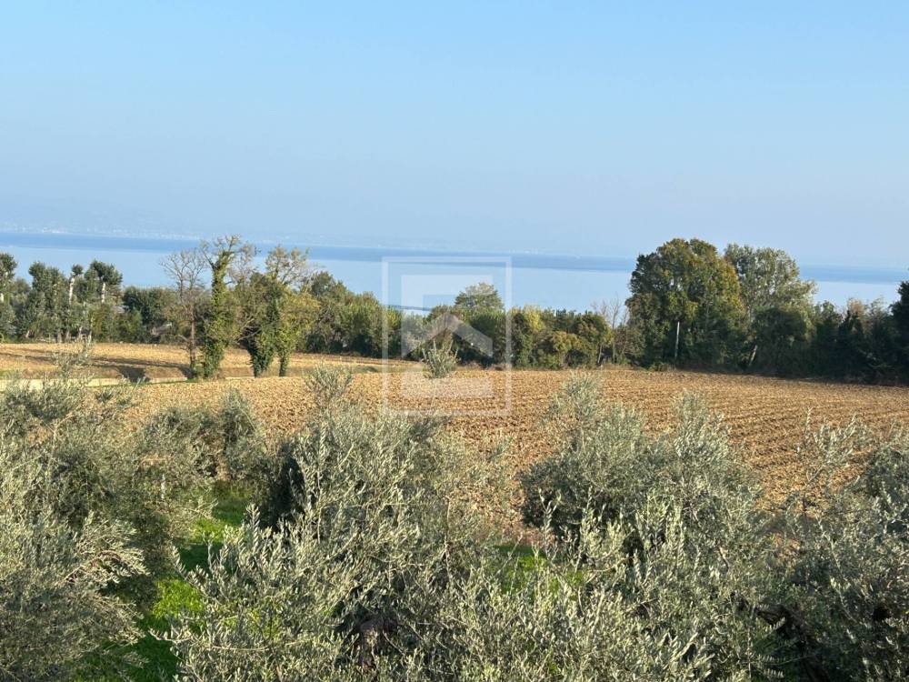 immagine annuncio 9 di 12
