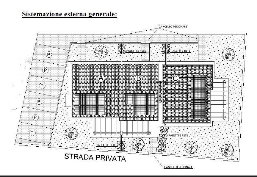 immagine annuncio 11 di 12