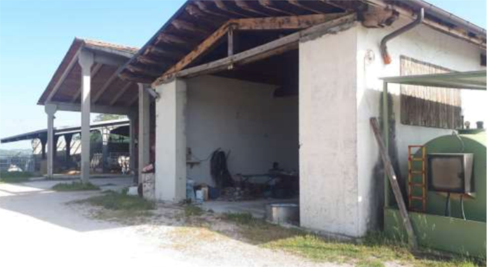 immagine annuncio 1 di 13