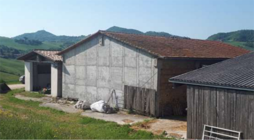 immagine annuncio 3 di 13