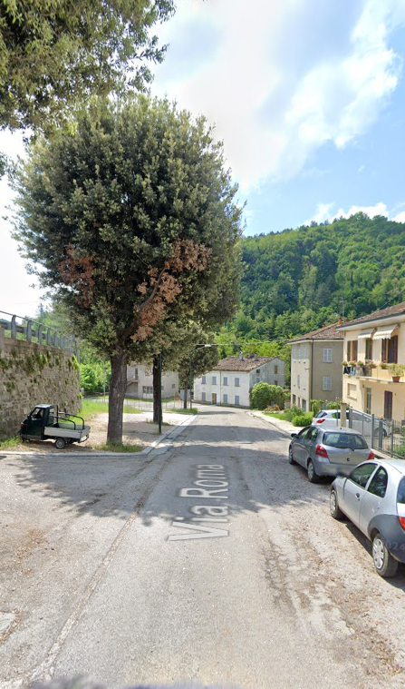 immagine annuncio 9 di 13