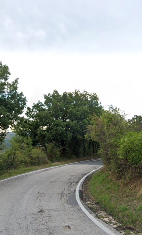 immagine annuncio 6 di 13