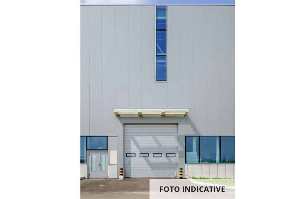immagine annuncio 8 di 12