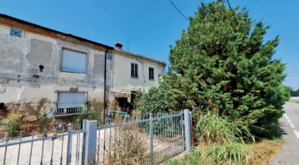 immagine annuncio 5 di 13