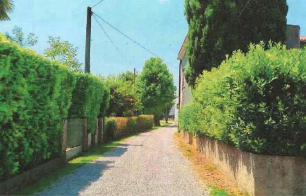 immagine annuncio 1 di 13