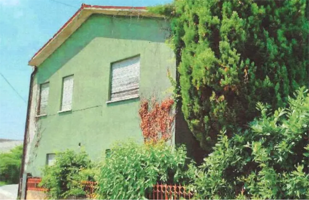 immagine annuncio 3 di 13