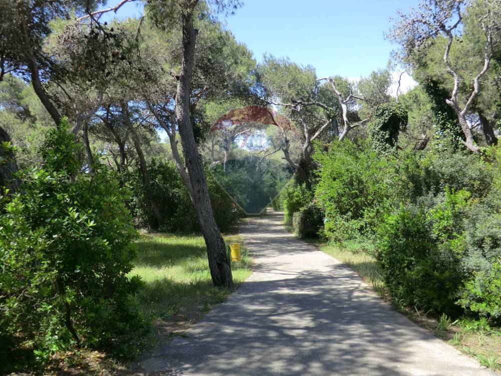 immagine annuncio 11 di 13