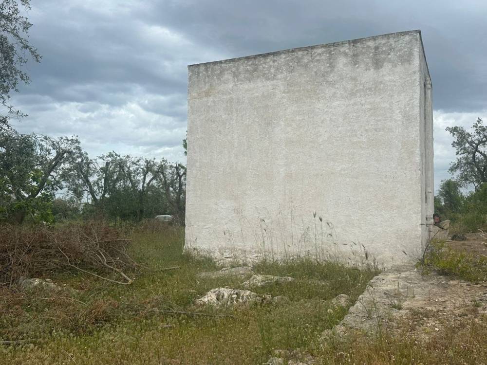 immagine annuncio 1 di 9