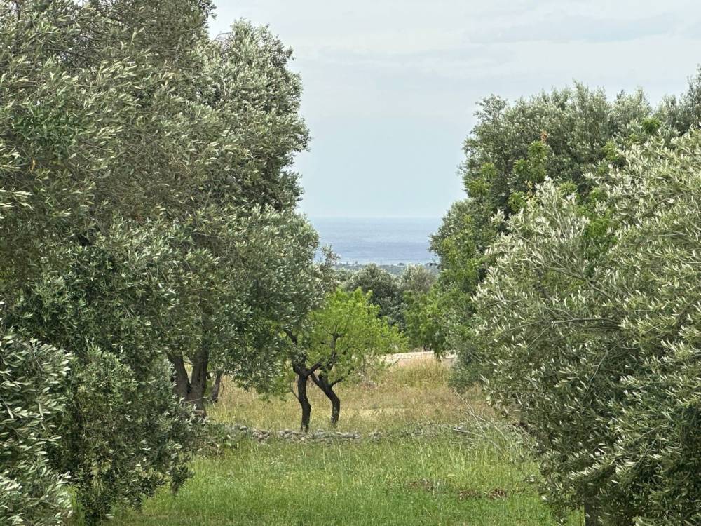 immagine annuncio 7 di 9