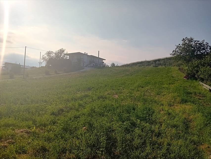immagine annuncio 6 di 13