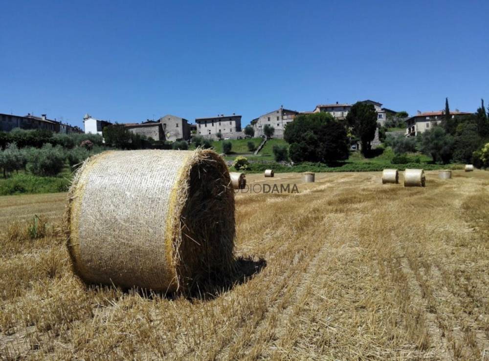 immagine annuncio 9 di 12