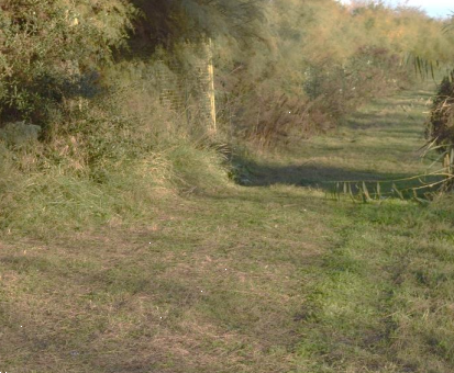 immagine annuncio 7 di 13