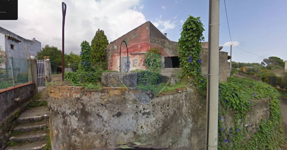 immagine annuncio 1 di 13