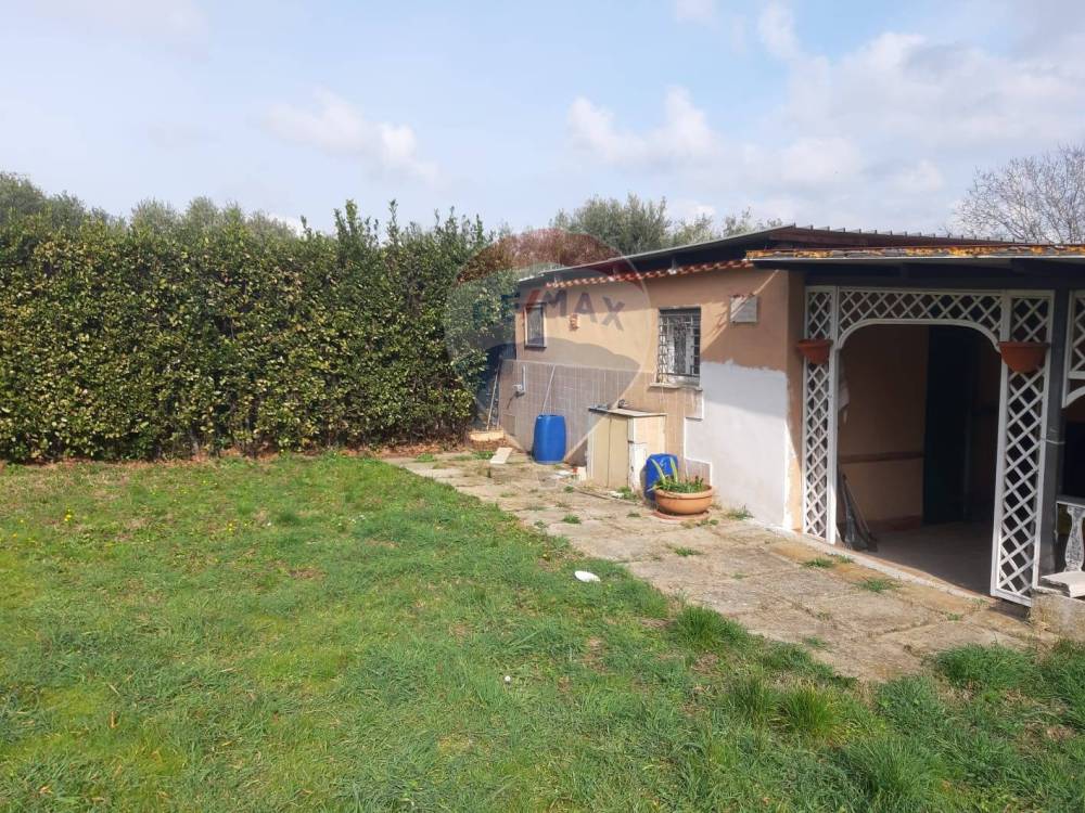 immagine annuncio 11 di 13