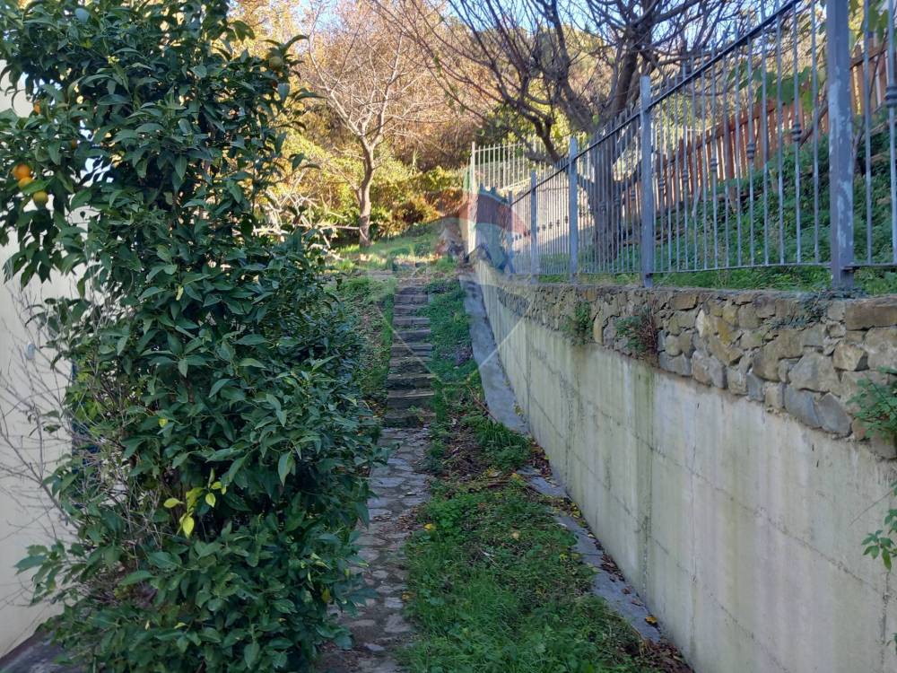 immagine annuncio 5 di 13