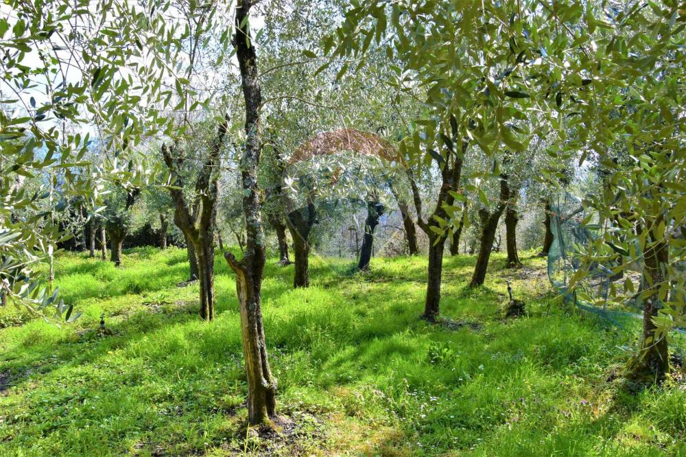 immagine annuncio 10 di 13