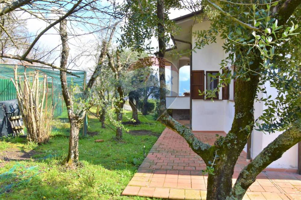 immagine annuncio 11 di 13