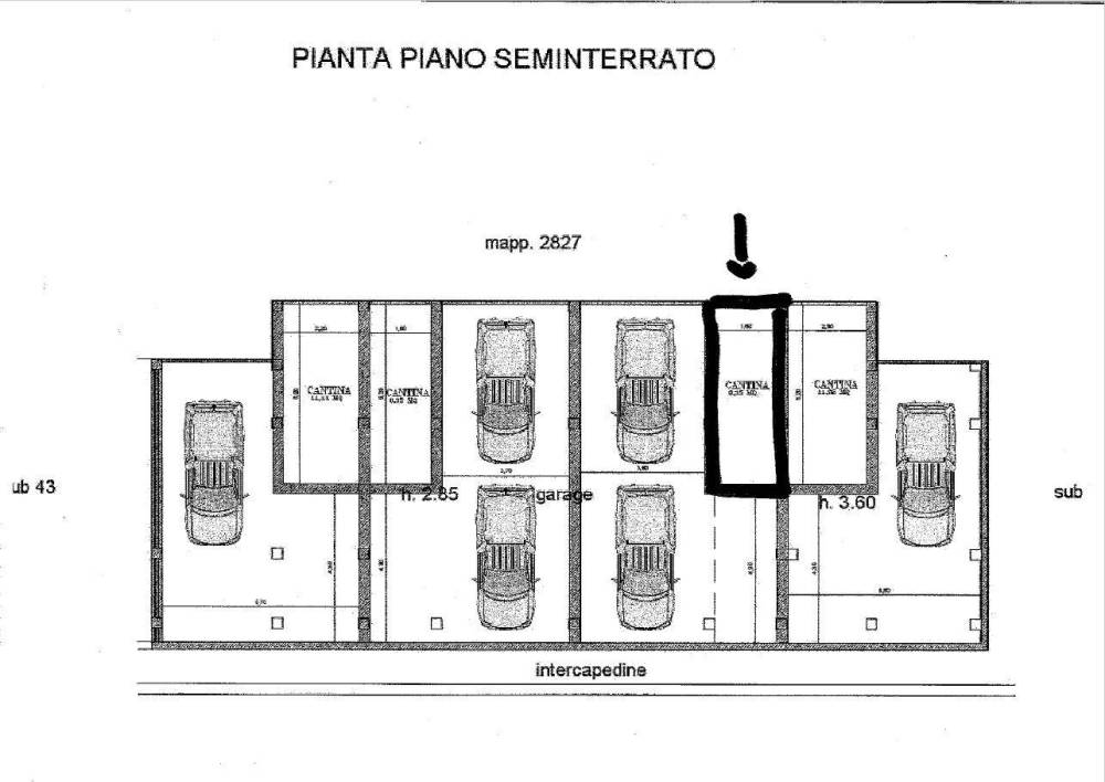 immagine annuncio 7 di 8