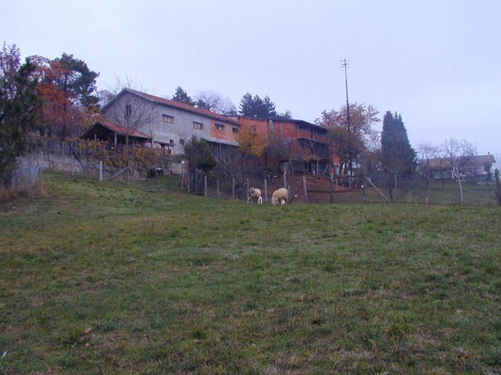 immagine annuncio 7 di 13