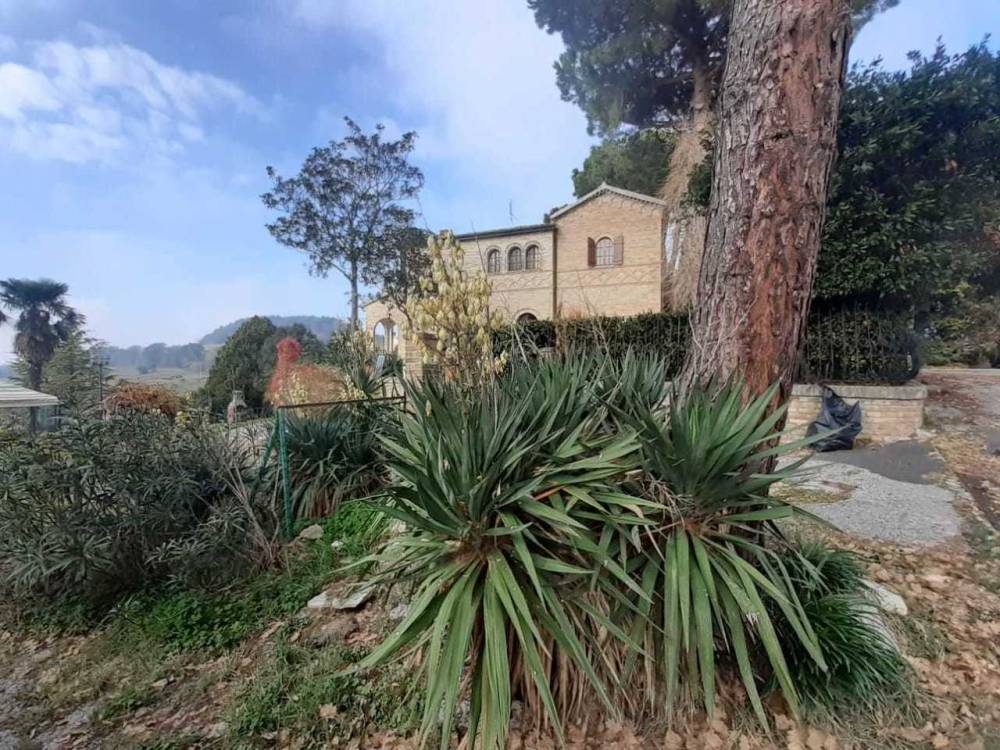 immagine annuncio 11 di 13