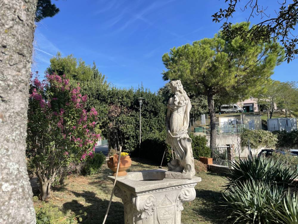 immagine annuncio 9 di 13