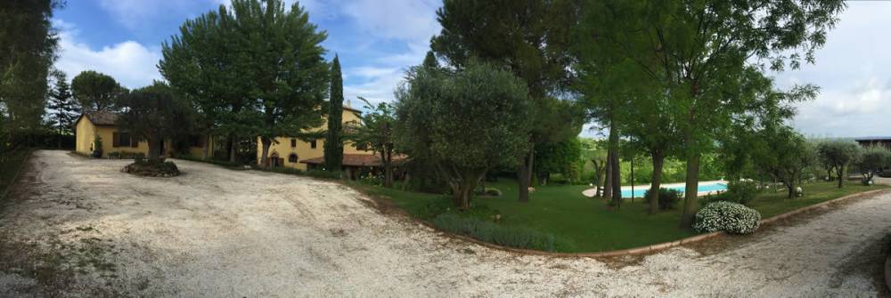 immagine annuncio 4 di 13