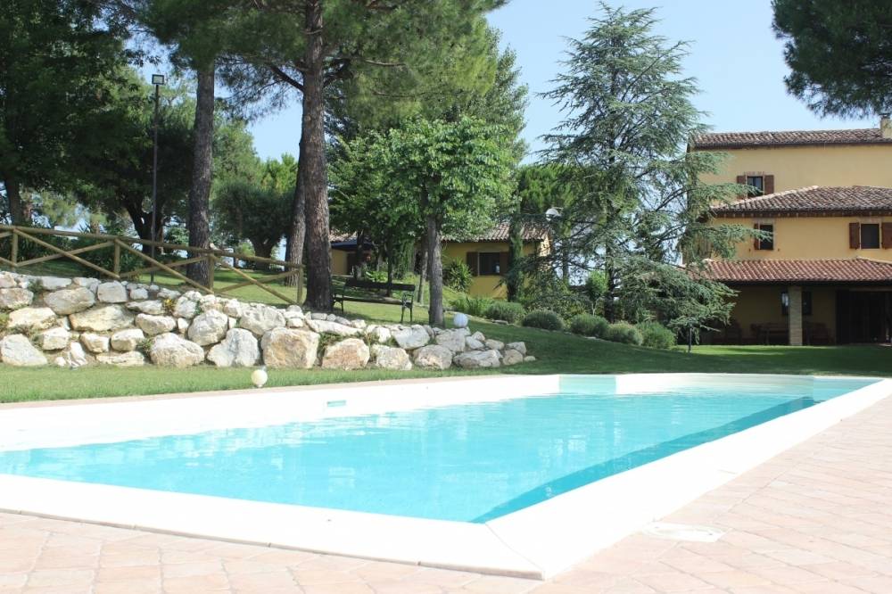immagine annuncio 6 di 13