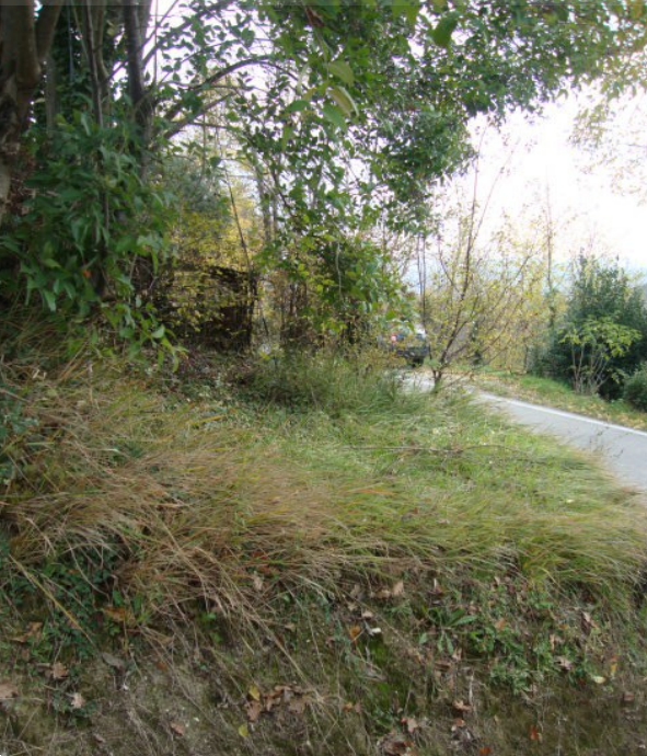 immagine annuncio 7 di 13