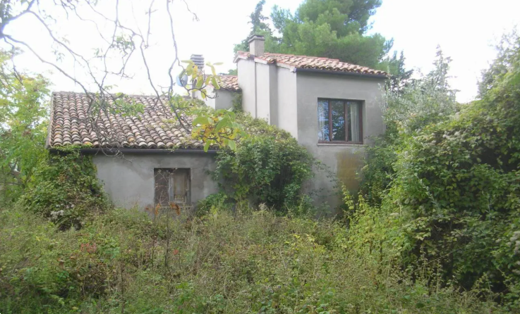 immagine annuncio 3 di 13