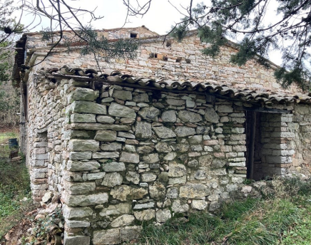 immagine annuncio 0 di 13