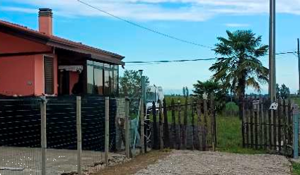 immagine annuncio 5 di 13