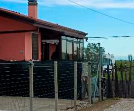 immagine annuncio 6 di 13