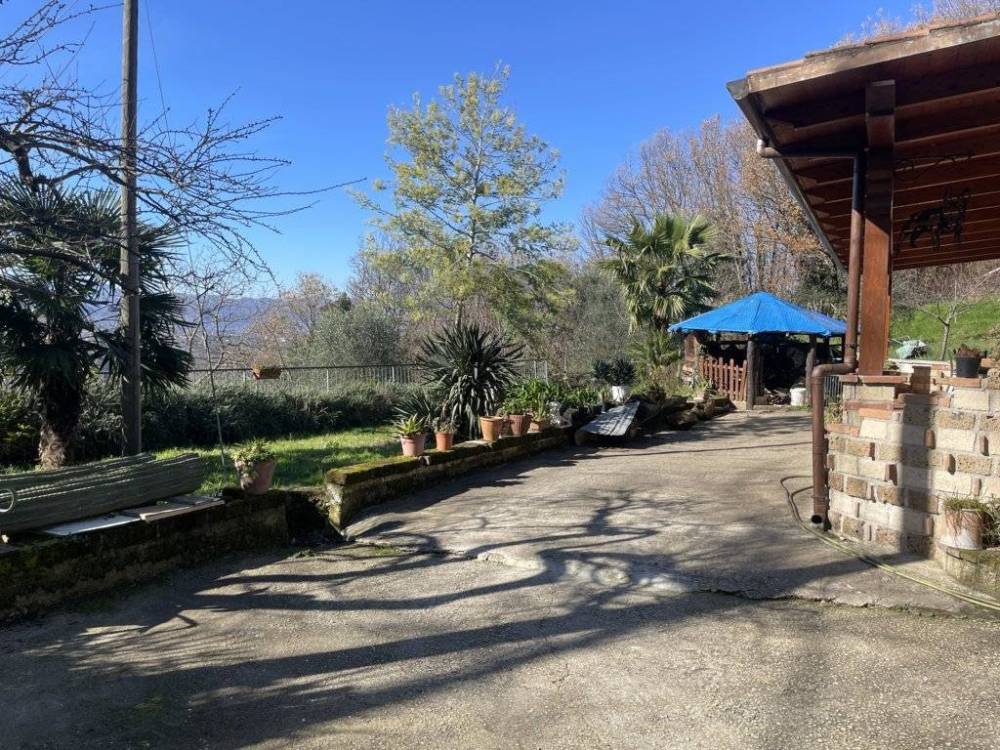 immagine annuncio 4 di 13