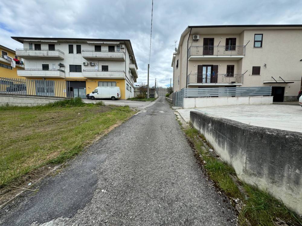 immagine annuncio 3 di 13