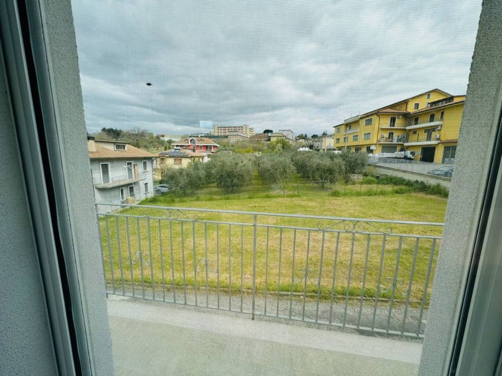 immagine annuncio 11 di 13