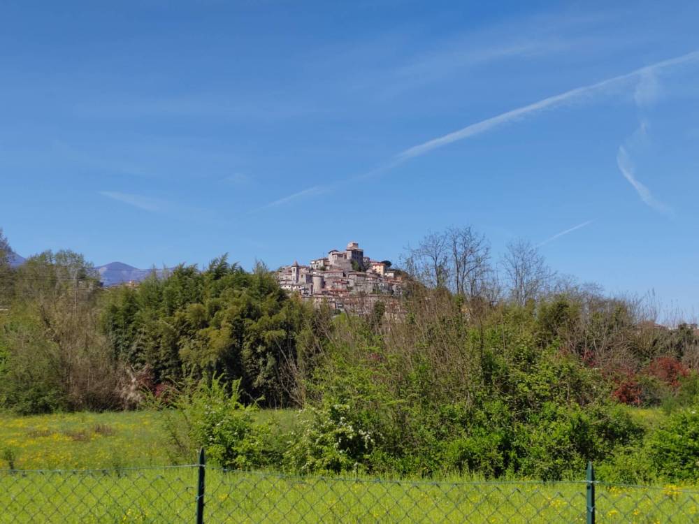 immagine annuncio 11 di 12