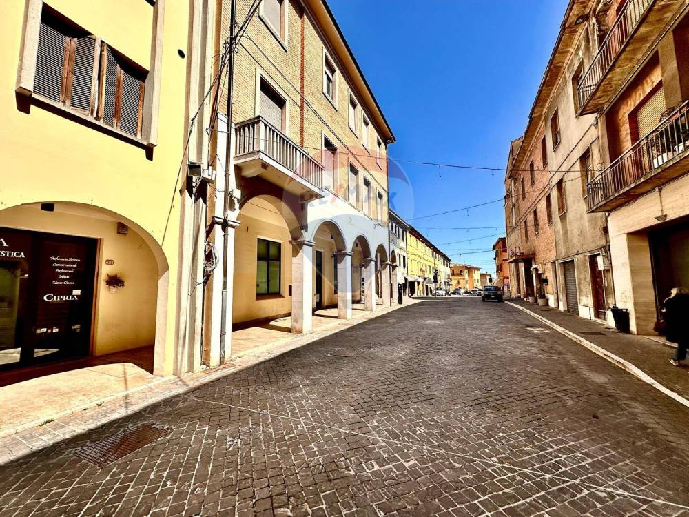 immagine annuncio 3 di 13