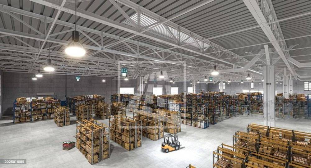 immagine annuncio 11 di 13