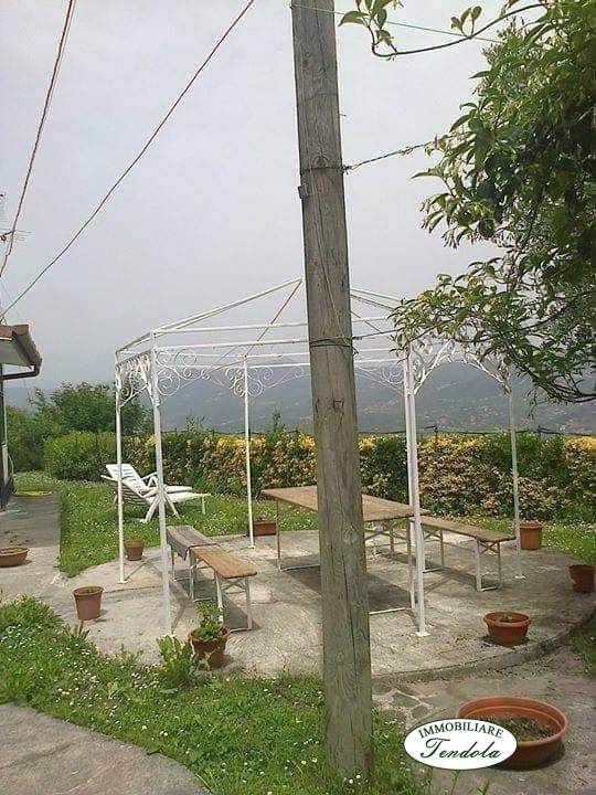 immagine annuncio 4 di 9
